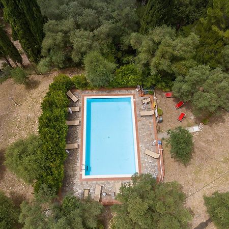 Villa I Tigli Campiglia Marittima Eksteriør billede