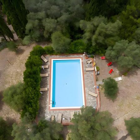 Villa I Tigli Campiglia Marittima Eksteriør billede