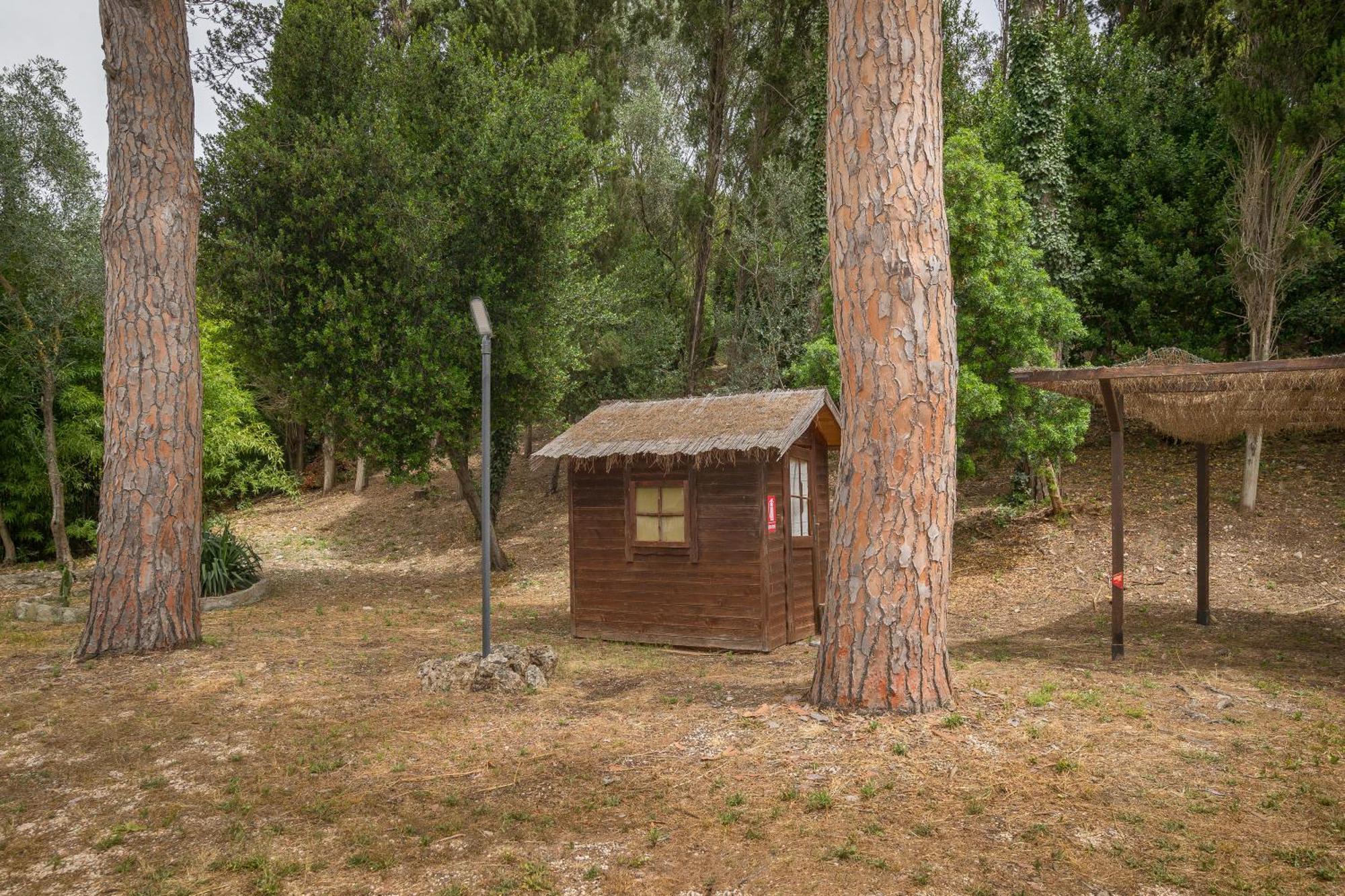 Villa I Tigli Campiglia Marittima Eksteriør billede