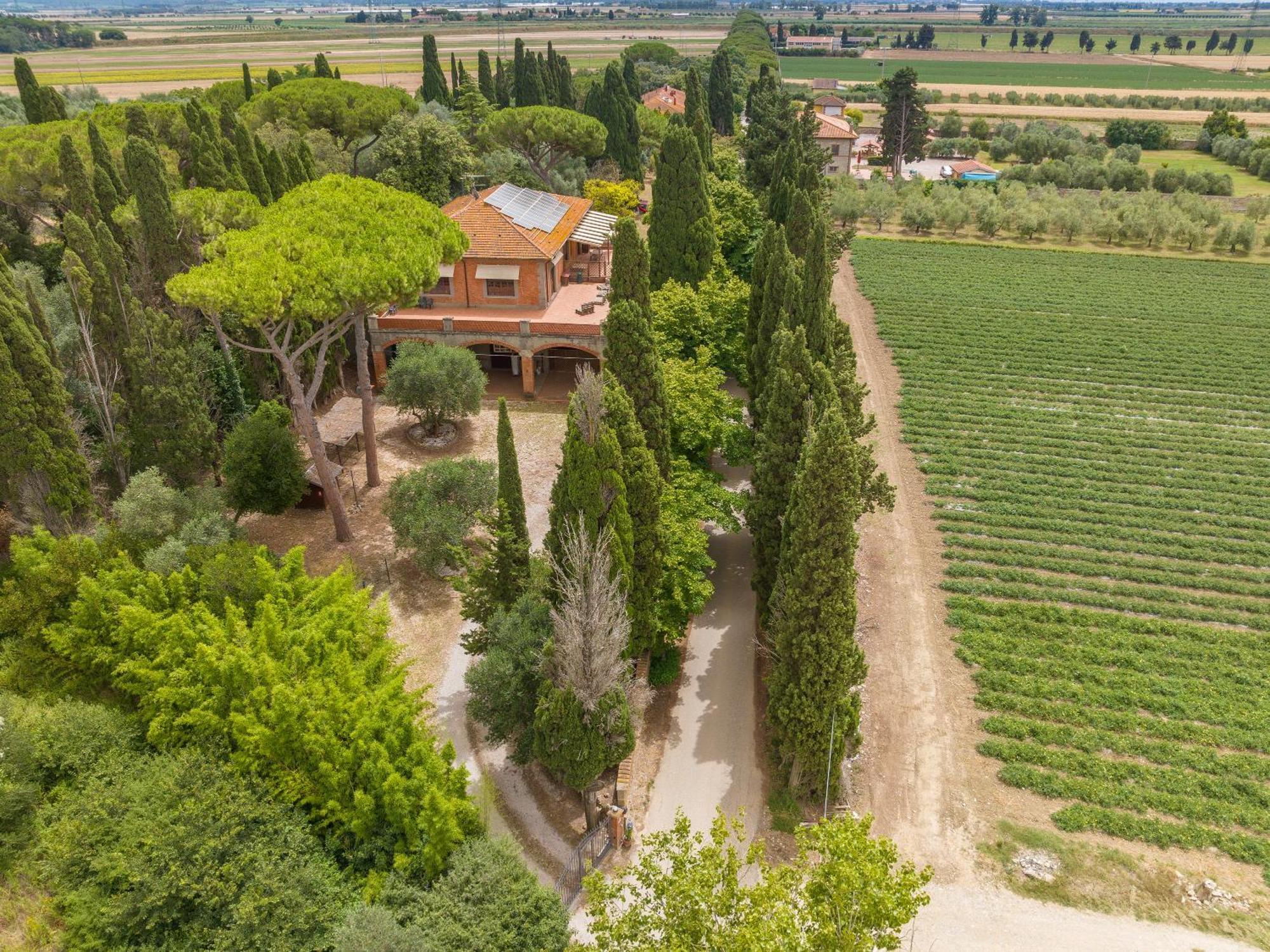 Villa I Tigli Campiglia Marittima Eksteriør billede