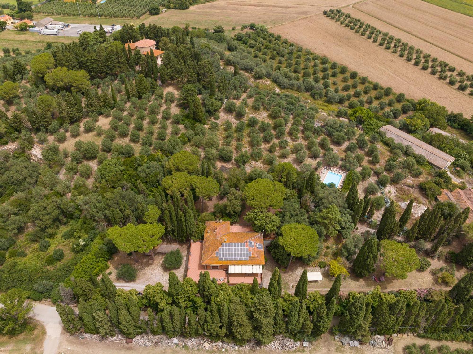 Villa I Tigli Campiglia Marittima Eksteriør billede