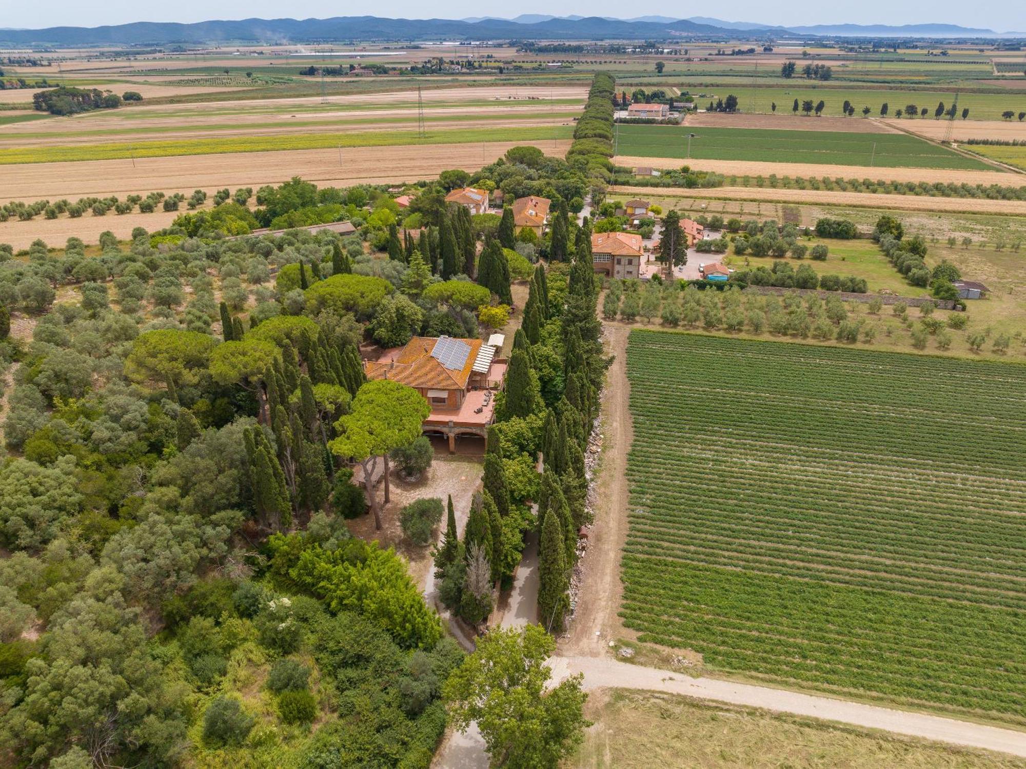 Villa I Tigli Campiglia Marittima Eksteriør billede