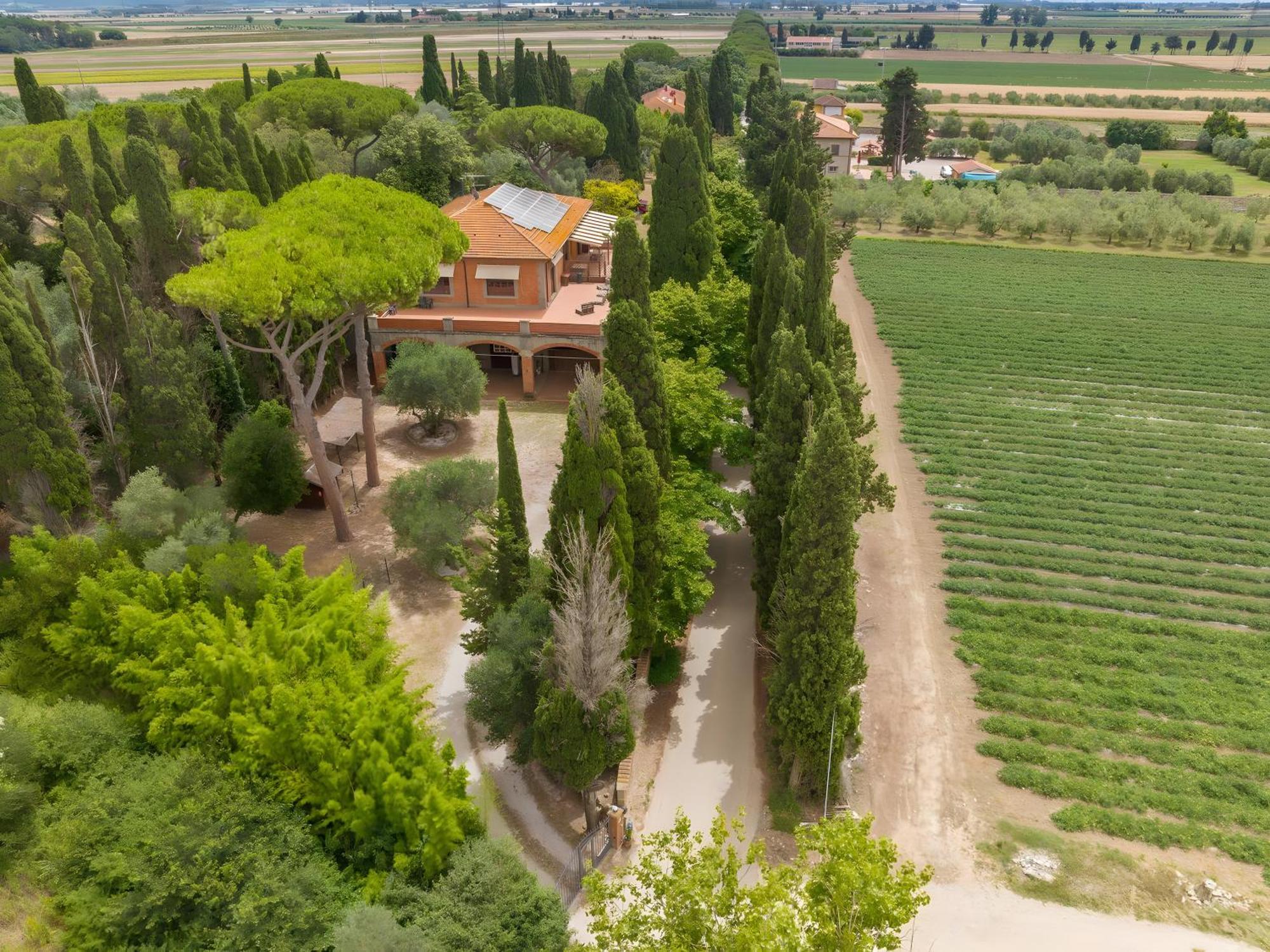 Villa I Tigli Campiglia Marittima Eksteriør billede